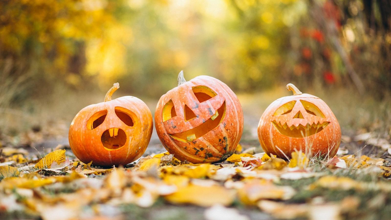 Défie ton nez pour Halloween