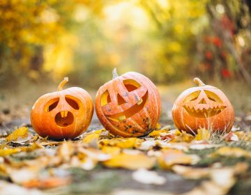 Défie ton nez pour Halloween