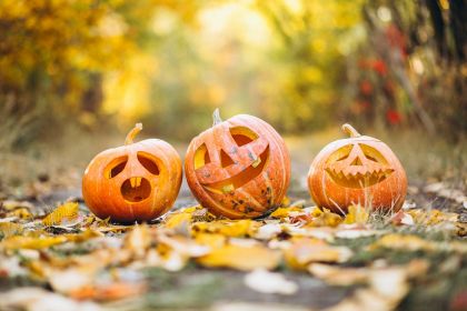 Défie ton nez pour Halloween